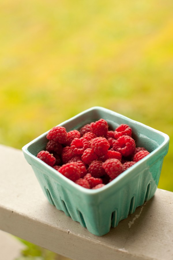 \"fresh-picked-raspberries\"